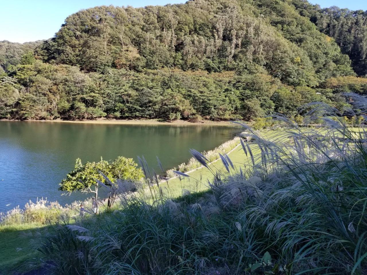 Apartmán Famille Matsukawako Ito  Exteriér fotografie